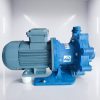 Bơm hóa chất Finish Thompson DB15P-E-B-6-95